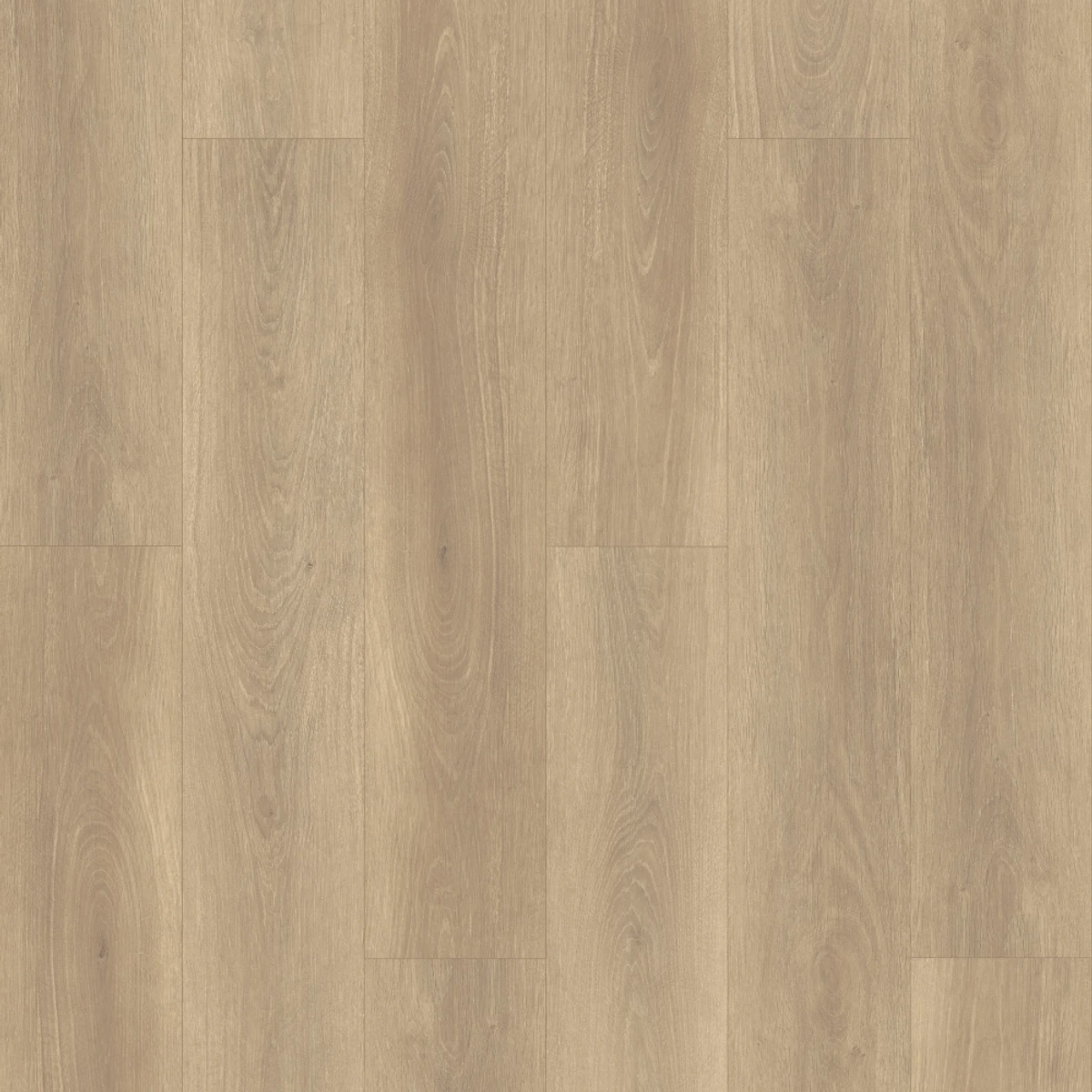 Bold Oak Waterproof Laminate swatch