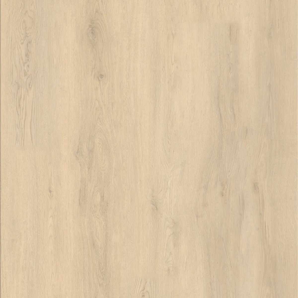 Common Oak SPC Rigid-Core Plank swatch