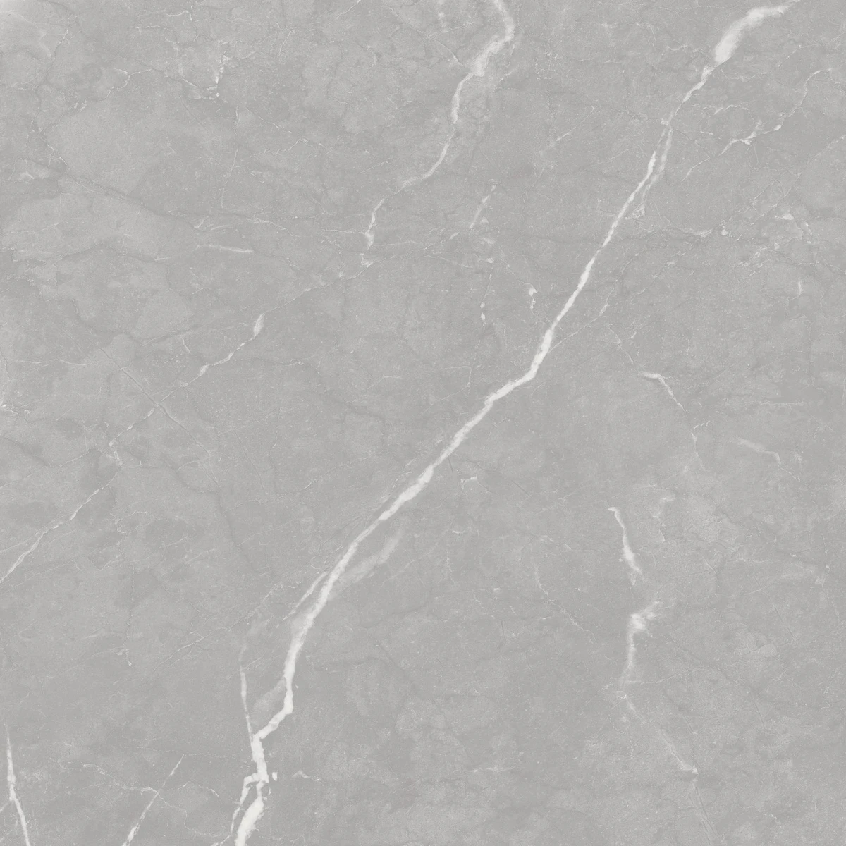 Elenza Light Grey Porcelain Tile swatch