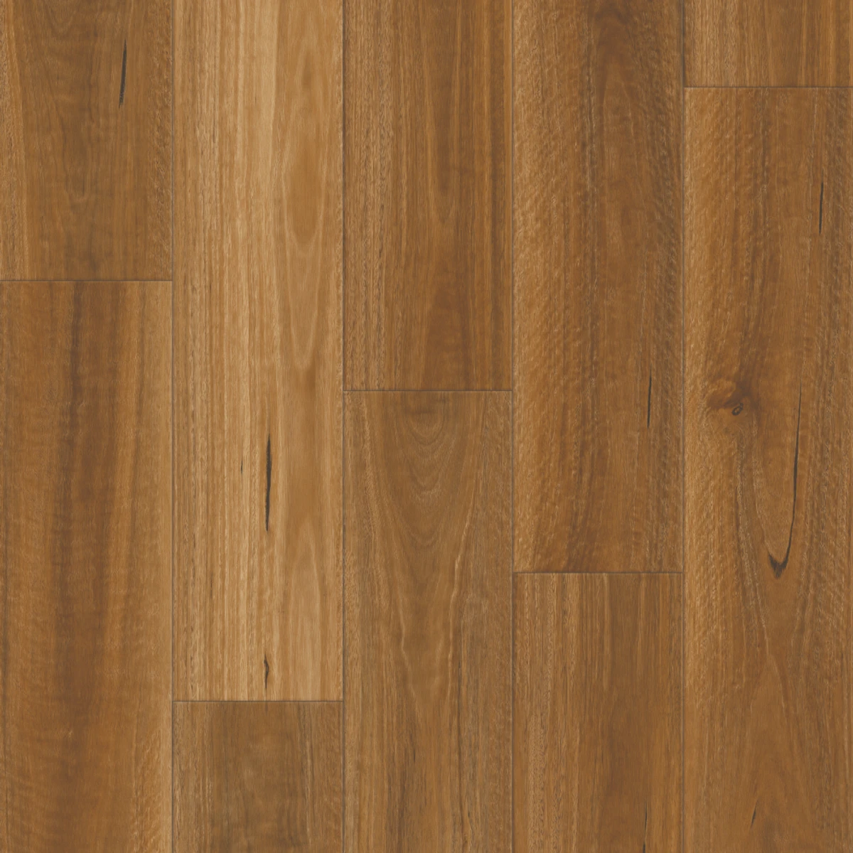 Rouge Oak SPC Rigid-Core Plank swatch