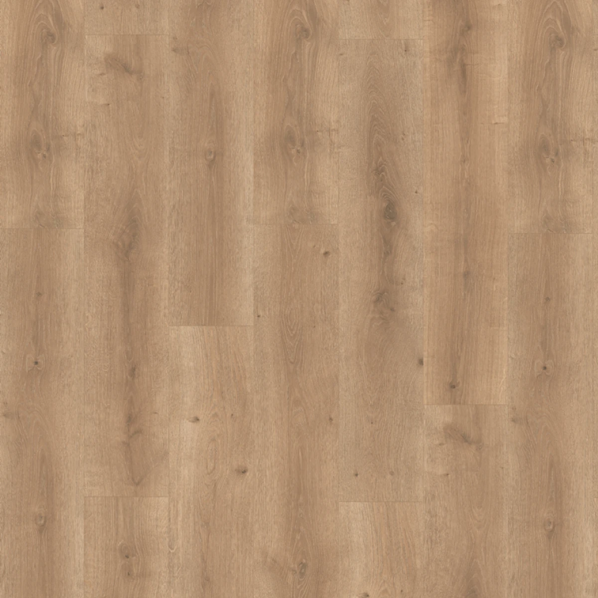 Selena Dorado Waterproof Laminate swatch